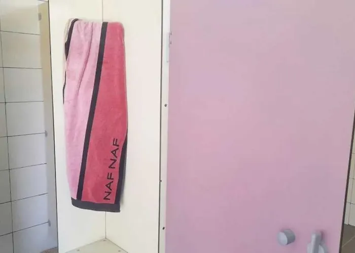 Campsite Zecamping 3 Etoiles Chiens Acceptes Piscine Bar Et Restaurant