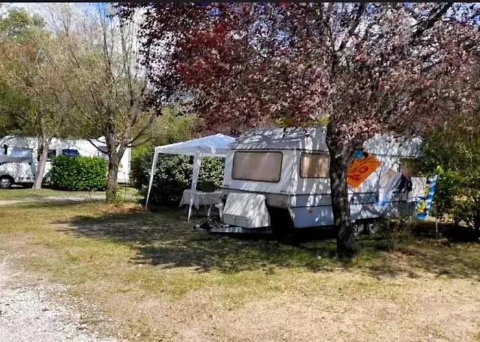 Zecamping 3 Etoiles Chiens Acceptes Piscine Bar Et Restaurant Campsite *