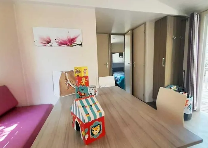 Campsite Zecamping 3 Etoiles Chiens Acceptes Piscine Bar Et Restaurant *