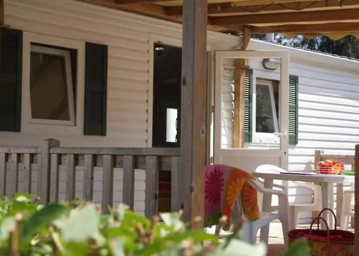 Zecamping 3 Etoiles Chiens Acceptes Piscine Bar Et Restaurant Campsite Mezel (Alpes-de-Haute-Provence)