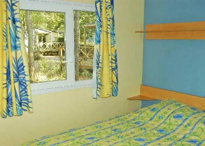 Campsite Zecamping 3 Etoiles Chiens Acceptes Piscine Bar Et Restaurant