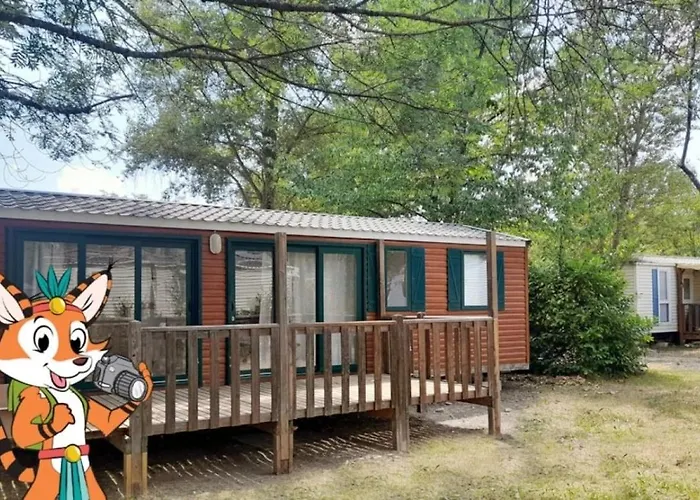 Campsite Zecamping 3 Etoiles Chiens Acceptes Piscine Bar Et Restaurant