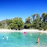 Zecamping 3 Etoiles Chiens Acceptes Piscine Bar Et Restaurant